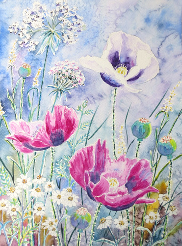 Papavero notte 24x32 prato - papavero, da