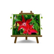 Clematis Grandi Fiori Rosso