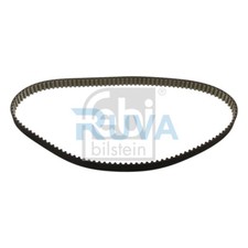 Cinghia Distribuzione Camma