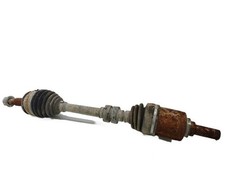 albero di trasmissione