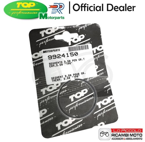 Segmento fascia elastica - segmento,