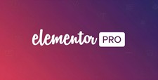 Elementor Pro WordPress Plugin