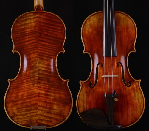 Fine master violin - a,