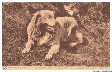 CAR-ACRP4-0184-65 - LOURDES -