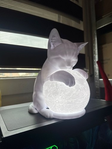 Lampada gatto con luna led - lampada,