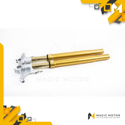 Forcelle moto anteriori ohlins - forcelle,