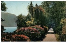 Cartolina d'epoca Lago di Como