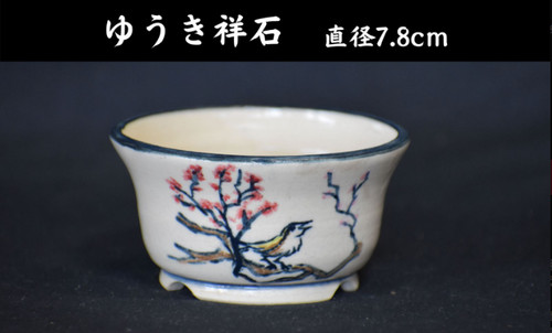 Vaso per bonsai giapponese