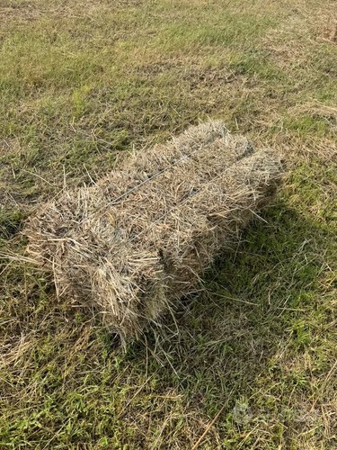 Fieno naturale per cavalli - fieno,
