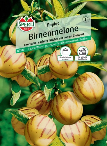 Melone pera pepino frutti - melone,