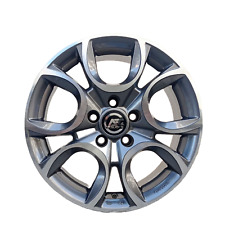 TORINO AD CERCHI IN LEGA 17