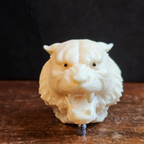Netsuke leone taguanuss - in,