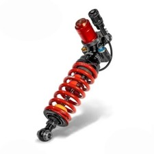 Ammortizzatore posteriore