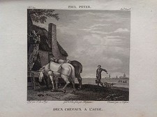 DUE Cavalli al TROGOLO Incisione XIX sec. PAUL POTTER pittore olandese  