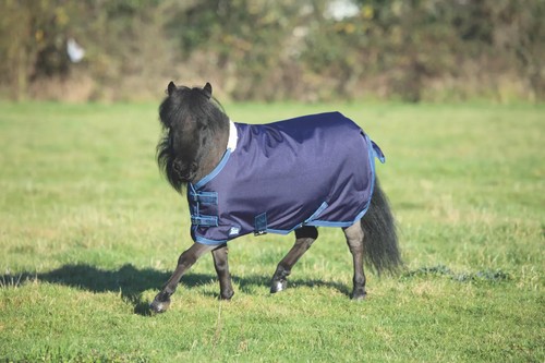 Shires tempest original lite - original,