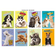 Maxi quaderni Blasetti