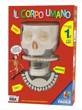 Il corpo umano - corpo,