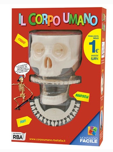 Il corpo umano - 💀🦴🦷il,