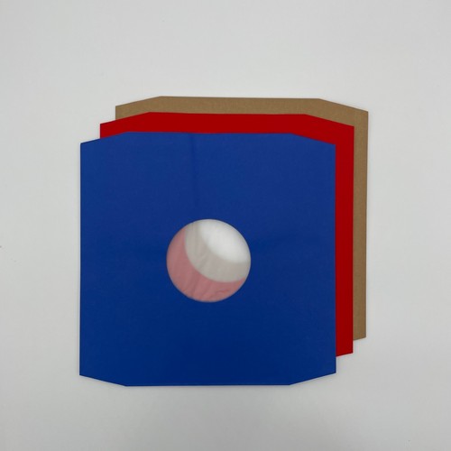 Polylined inner record - 12",