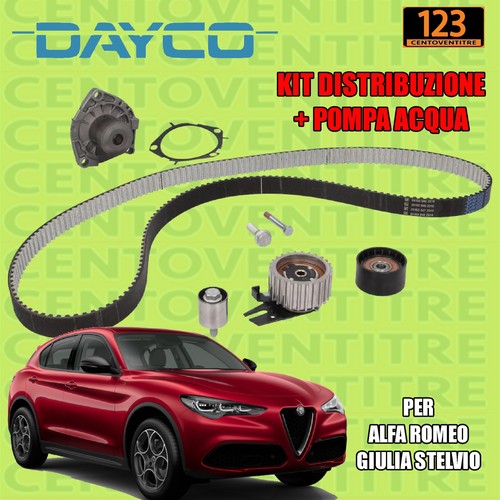 Kit distribuzione pompa - kit,