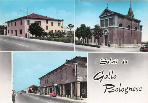 194 cartolina saluti gallo - cartolina,