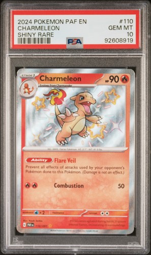 2024 charmeleon 110 - 2024, lucido