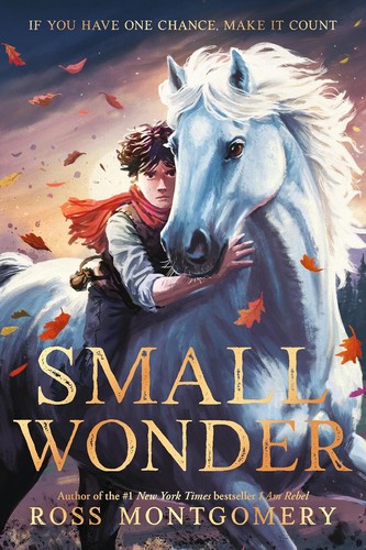 Small wonder ross - small,