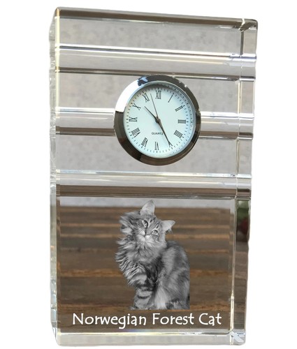 Gatto delle foreste norvegesi