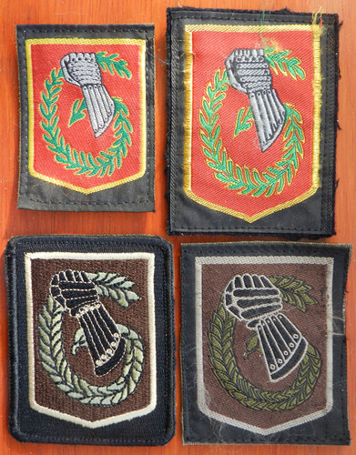 Lot insignes tissus haute - 4,