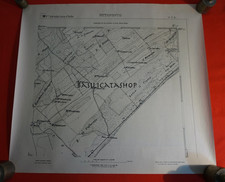 Rara Carta mappa Metaponto 3