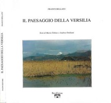 Il paesaggio della Versilia. 