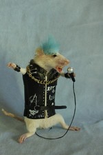 taxidermie rat punk rock star taxidermy rat punk  cabinet de curiosité odditties