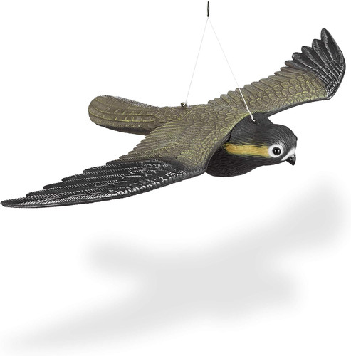 Falco spaventapasseri - falco,