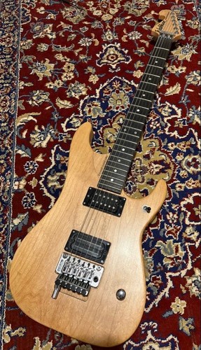 Washburn nuno bettencourt - washburn,