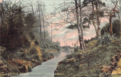 Postcard irealnd in the - in,