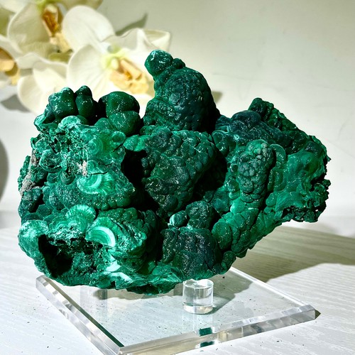 Pietra pavone occhio - , di