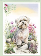 Maltese Dog Greetings Card