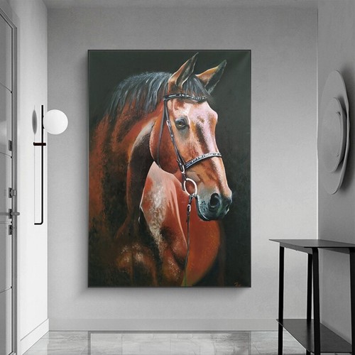 Quadro tela cavallo - tela, animale