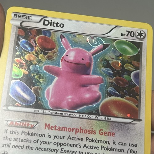 Pokémon tcg promo idem - pokémon, xy