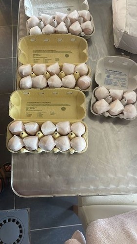 Uova artigianali brahma blu - artigianali,