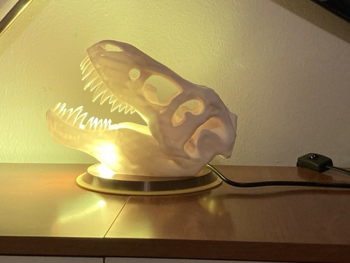 Lampada espositore teschio - espositore,