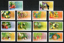 Santa Lucia 2005 - Frutta -