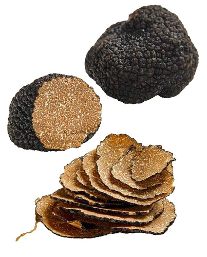 Tartufo 500 fresco - tartufo,