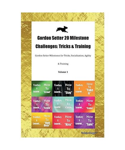 Gordon setter milestone - 20,