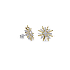 Orecchini donna lineargent - orecchini, da