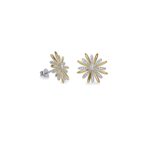 Orecchini donna lineargent - donna,