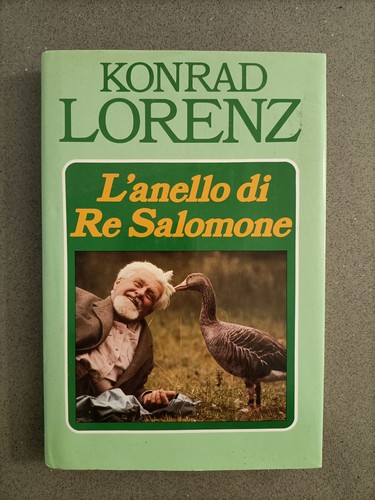 Anello salomone - l'anello, di