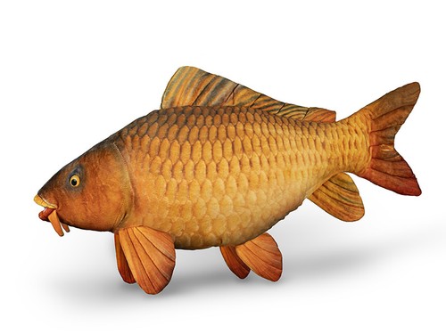 Delfino carpa peluche carpy - carpa, 60