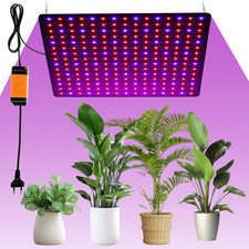 Grow Light - Lampada a LED per