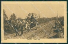 Vercelli Tarchetti fotogafo